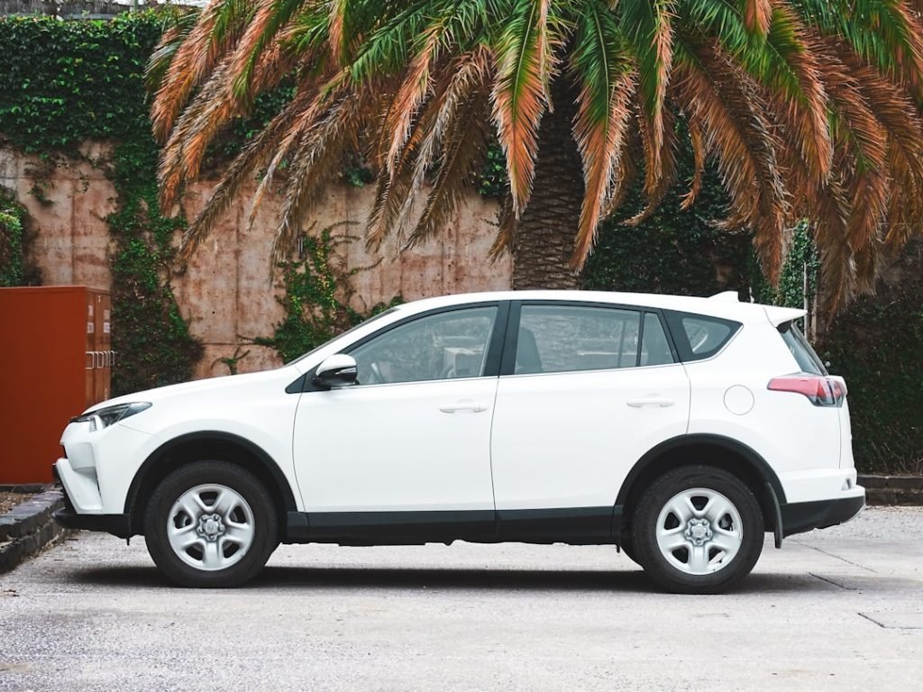 white-suv-parked-near-palm-tree-during-daytime-gvmsgzkx8em